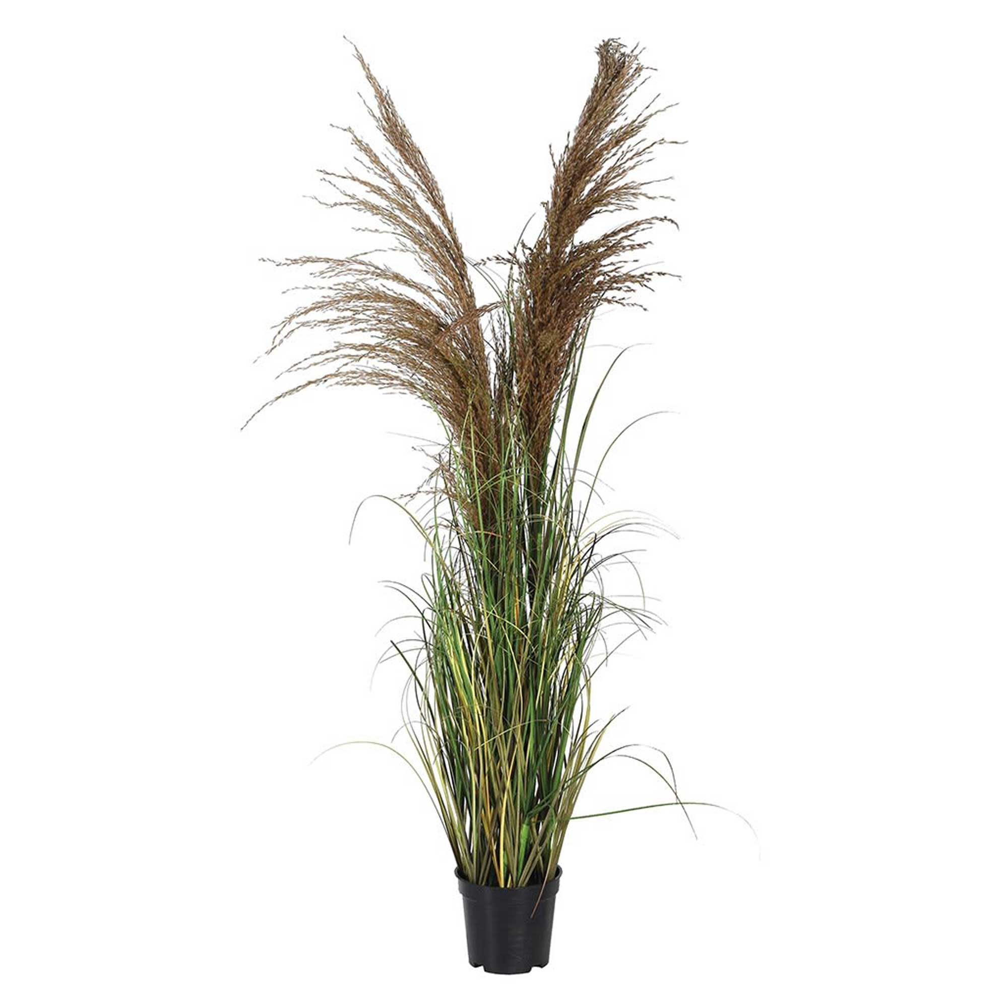 Faux Wheat Onion Grass Plant, Green And Brown - Barker & Stonehouse